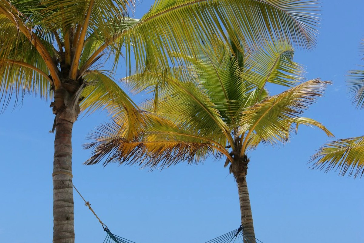 Zanzibar 2 Days 1 Night Package